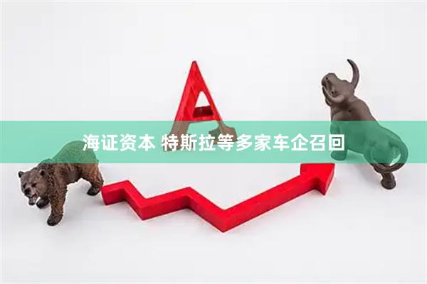 海证资本 特斯拉等多家车企召回