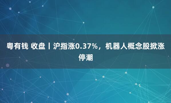 粤有钱 收盘丨沪指涨0.37%，机器人概念股掀涨停潮